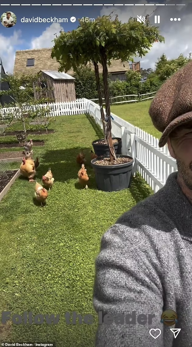 Khuôn viên nông trại rộng lớn bao gồm một khu nhà ở sang trọng và khu vực để trồng rau, nuôi gia cầm. Ảnh: Daily Mail