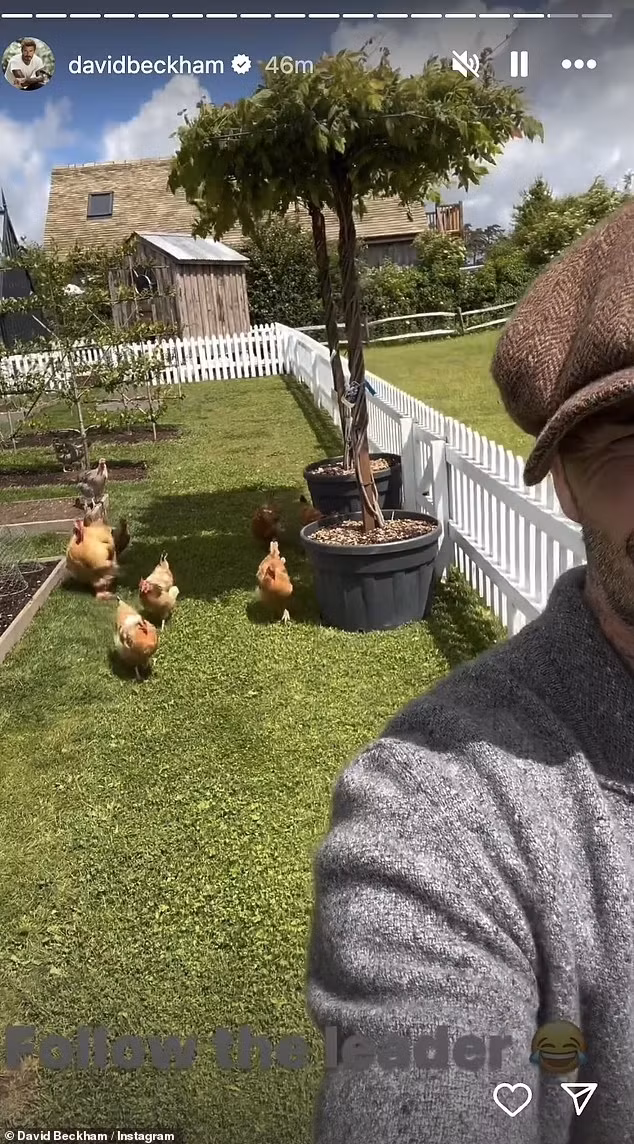 Khuôn viên nông trại rộng lớn bao gồm một khu nhà ở sang trọng và khu vực để trồng rau, nuôi gia cầm. Ảnh: Daily Mail