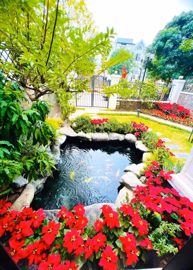 Hoa trạng nguyên đỏ rực cho căn biệt thự thêm nổi bật. Ảnh: FB Lã Thanh Huyền