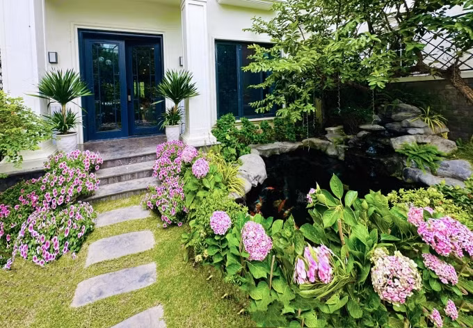 Các loại hoa chủ đạo cho khu vườn sẽ được Lã Thanh Huyền trồng quanh hồ cá Koi và ven con đường đá nhỏ dẫn vào cửa chính của ngôi nhà. Ảnh: FB Lã Thanh Huyền