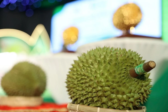 Bà Ngô Tường Vy hy vọng thông qua hoạt động đấu giá sẽ góp phần phát triển thương hiệu sản phẩm sầu riêng Ri6, tôn vinh sản phẩm sầu riêng đáng tự hào của Việt Nam. Ảnh: Người đưa tin