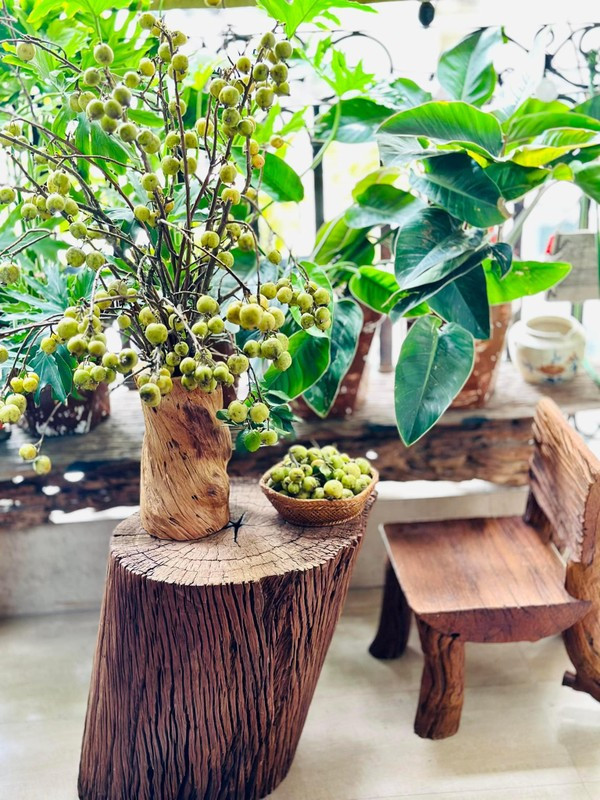 Tương tự, cành táo mèo cũng được nhiều chị em lựa chọn để trang trí nhà, giá từ 75.000 - 80.000 đồng/bó. Ảnh: Facebook