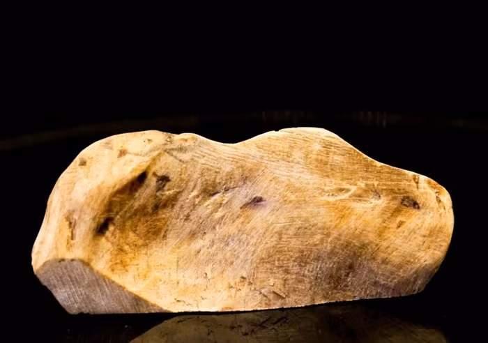 Theo các chuyên gia Trung Quốc, bạch kỳ nam của Việt Nam có hương thơm độc đáo, được ví như "cực phẩm". Ảnh: Tramhuongannhien