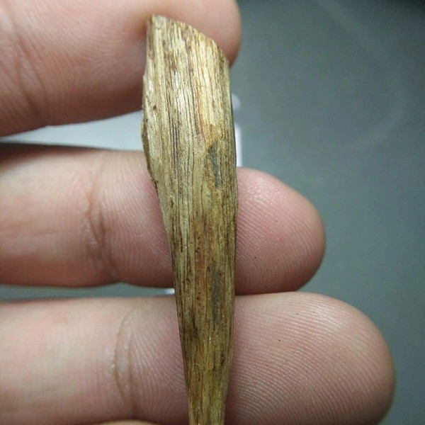 Kỳ nam được phân loại theo chất lượng và giá trị, trong đó, bạch kỳ, loại kỳ nam thượng hạng nhất, có giá trị lên đến 50 tỷ đồng/kg, sánh ngang với kim cương. Ảnh: Internet