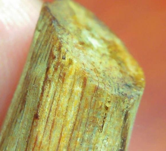 Trải qua hàng trăm năm, thậm chí hàng ngàn năm, trầm tiếp tục biến đổi thành kỳ nam. Ảnh minh họa