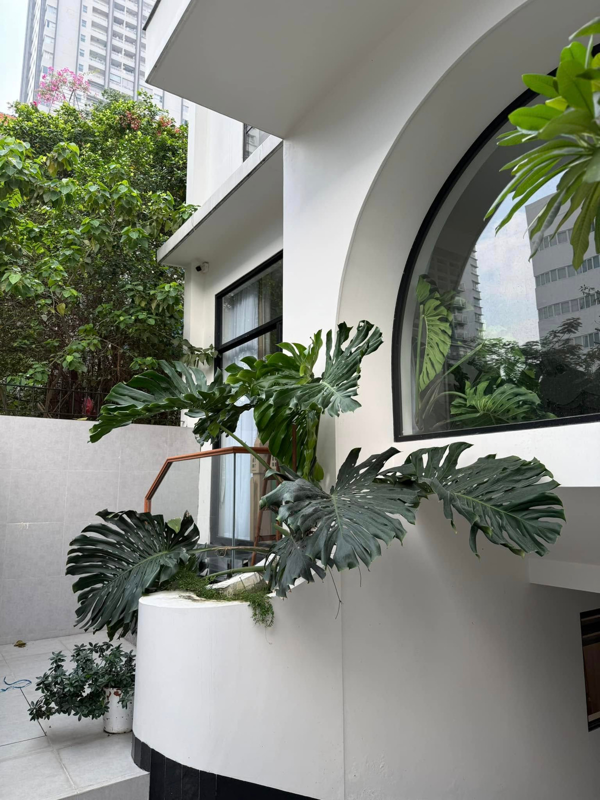 Khu vực sân vườn ngập tràn cây xanh. Ảnh: FB Vân Trang