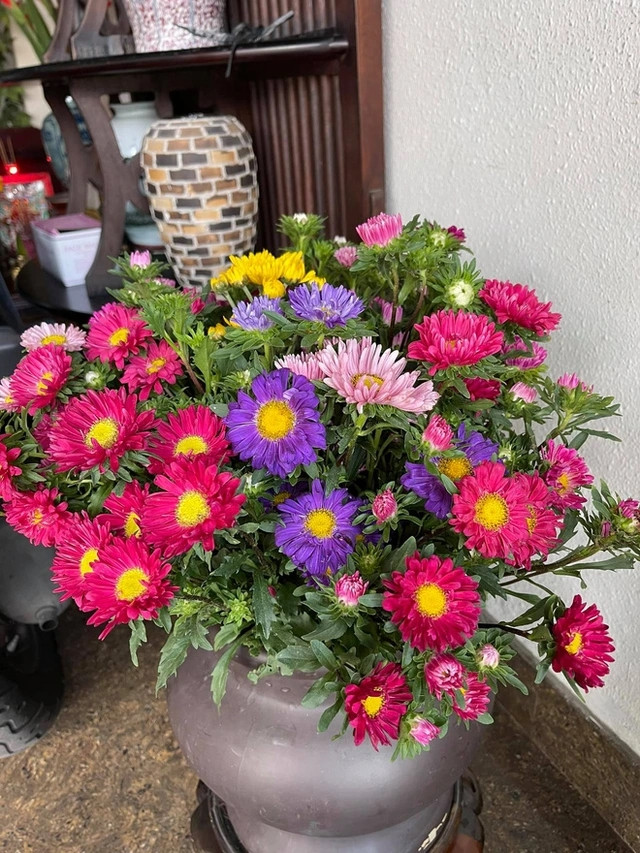 Bình hoa lớn đủ sắc màu cho không gian nhà thêm rực rỡ. Ảnh: FBNV