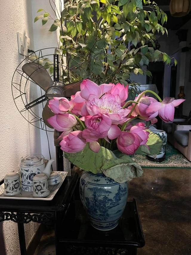 Sen hồng rực rỡ. Ảnh: FBNV