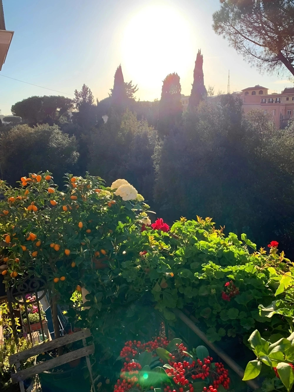 Từ đây, người đẹp có thể ngắm những tòa nhà lâu đời, mang kiến trúc đặc trưng Itlay. Ảnh: Giadinhxahoi