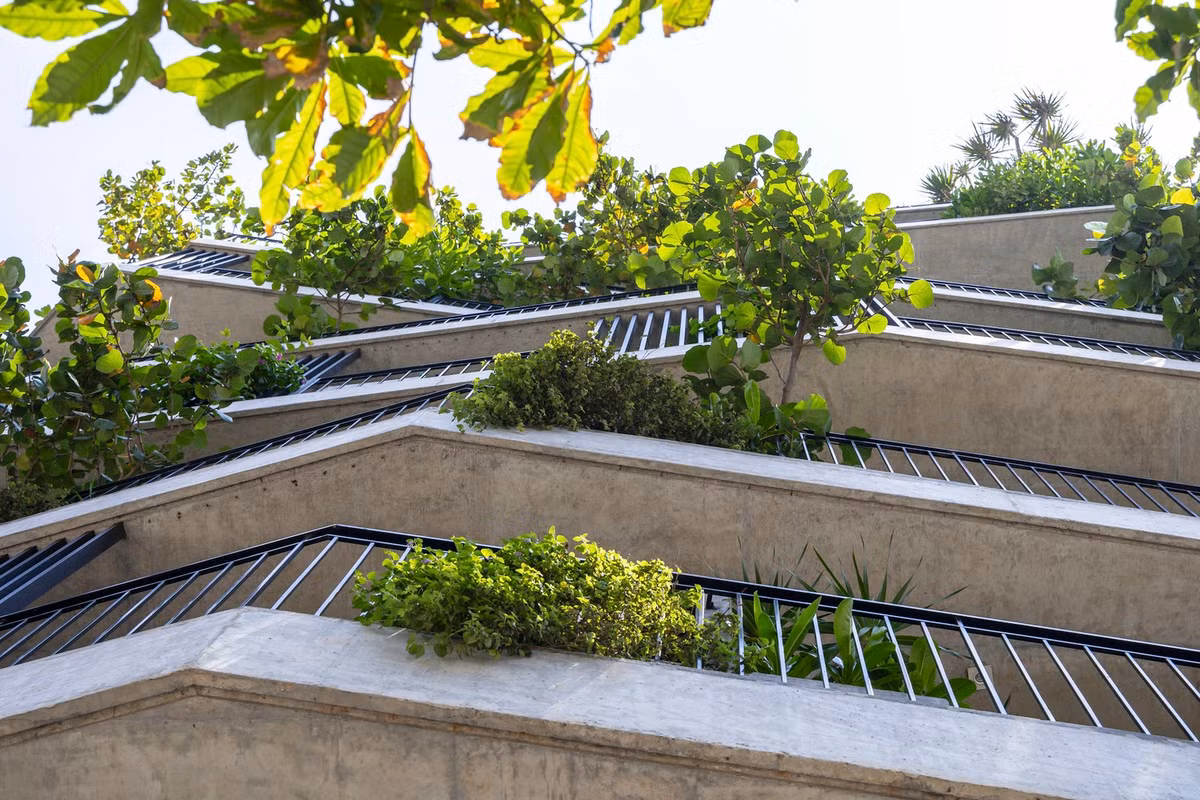 Sự kết hợp này tạo ra một cấu trúc đương đại vừa táo bạo vừa dễ tiếp cận, mang lại cảm giác ấm áp và quen thuộc. Ảnh: Triệu Chiến