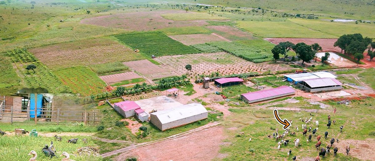 Quang Linh Vlogs đã chi hơn 4 tỷ đồng đầu tư trang trại rộng 14ha tại Bailundo (huyện Huambo, Angola) với hàng chục công nhân. Ảnh: FBNV