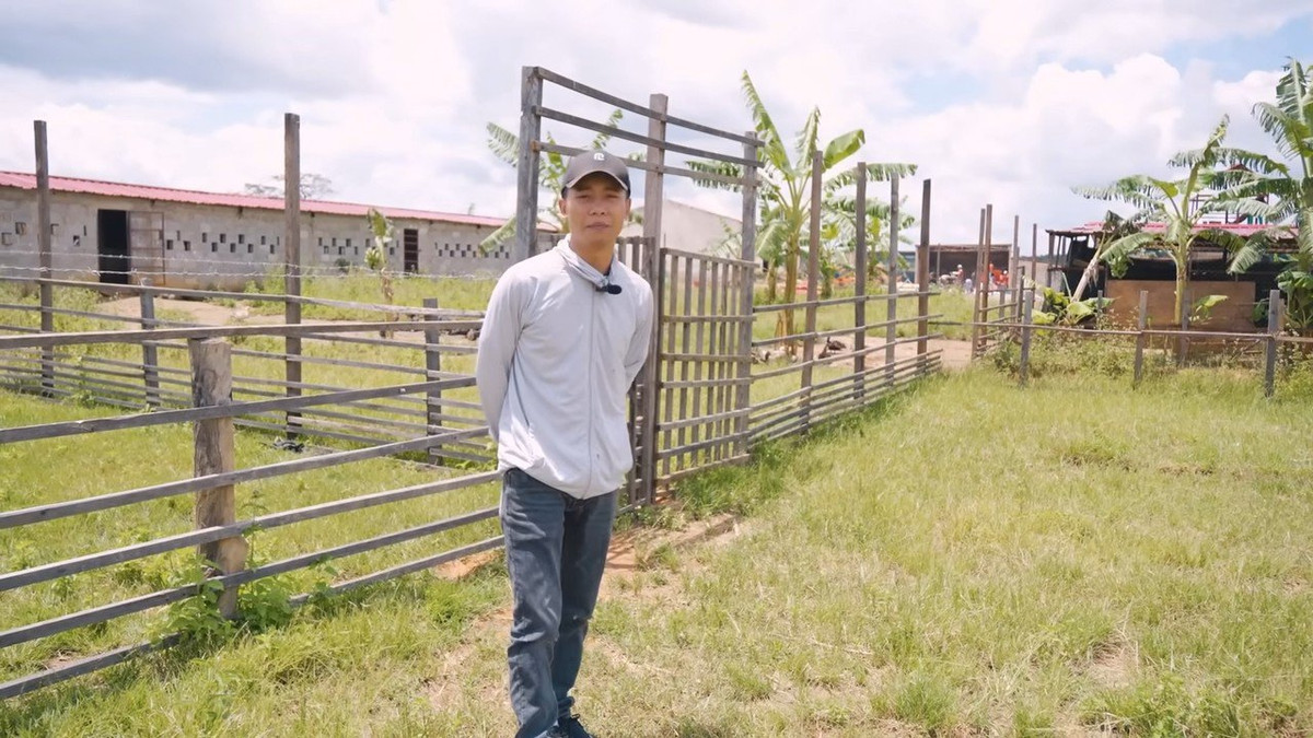 Trang trại của Quang Linh Vlogs trồng đủ các loại cây như ngô, dưa, khoai tây, chuối, đào ao thả cá... Ảnh: FBNV