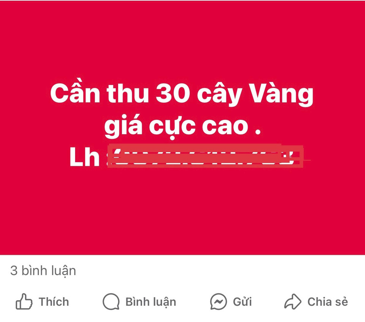 Xếp hàng dài cả ngày chờ tiệm vàng mở cửa bất thình lình - Hình 3 Xep hang dai ca ngay cho tiem vang mo cua bat thinh linh-Hinh-3