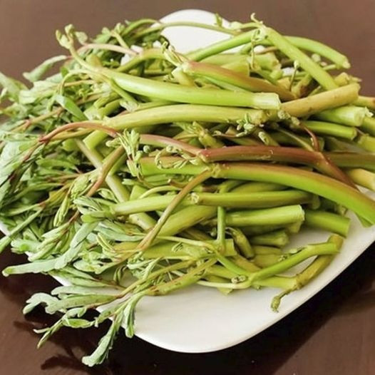 Ngày nay, rau rút là đặc sản ở thành phố, bán với giá khoảng 90.000 đồng/kg. Ảnh: Facebook