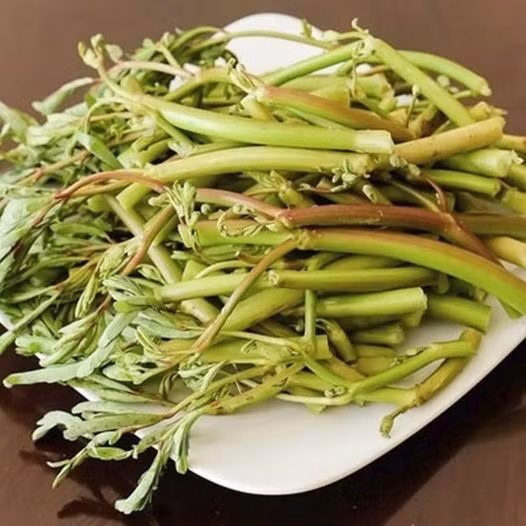 Ngày nay, rau rút là đặc sản ở thành phố, bán với giá khoảng 90.000 đồng/kg. Ảnh: Facebook