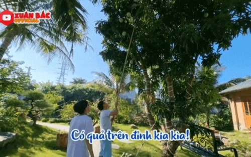 Với diện tích "khủng", bên cạnh khu vực nhà ở, Xuân Bắc còn cho thiết kế một sân vườn rộng rãi và thoáng đãng. Phía trước nhà có một cây xoài cao khoảng 5m, đến mùa lại chi chít quả. Ảnh: FBNV