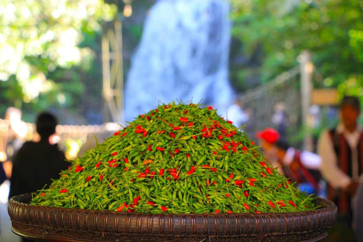 A riêu trong tiếng Cơ tu có nghĩa là chim chào mào. Trước đây, loại ớt này chủ yếu mọc hoang trong rừng, vị cay nồng, mùi vị rất riêng. Ảnh: Plo