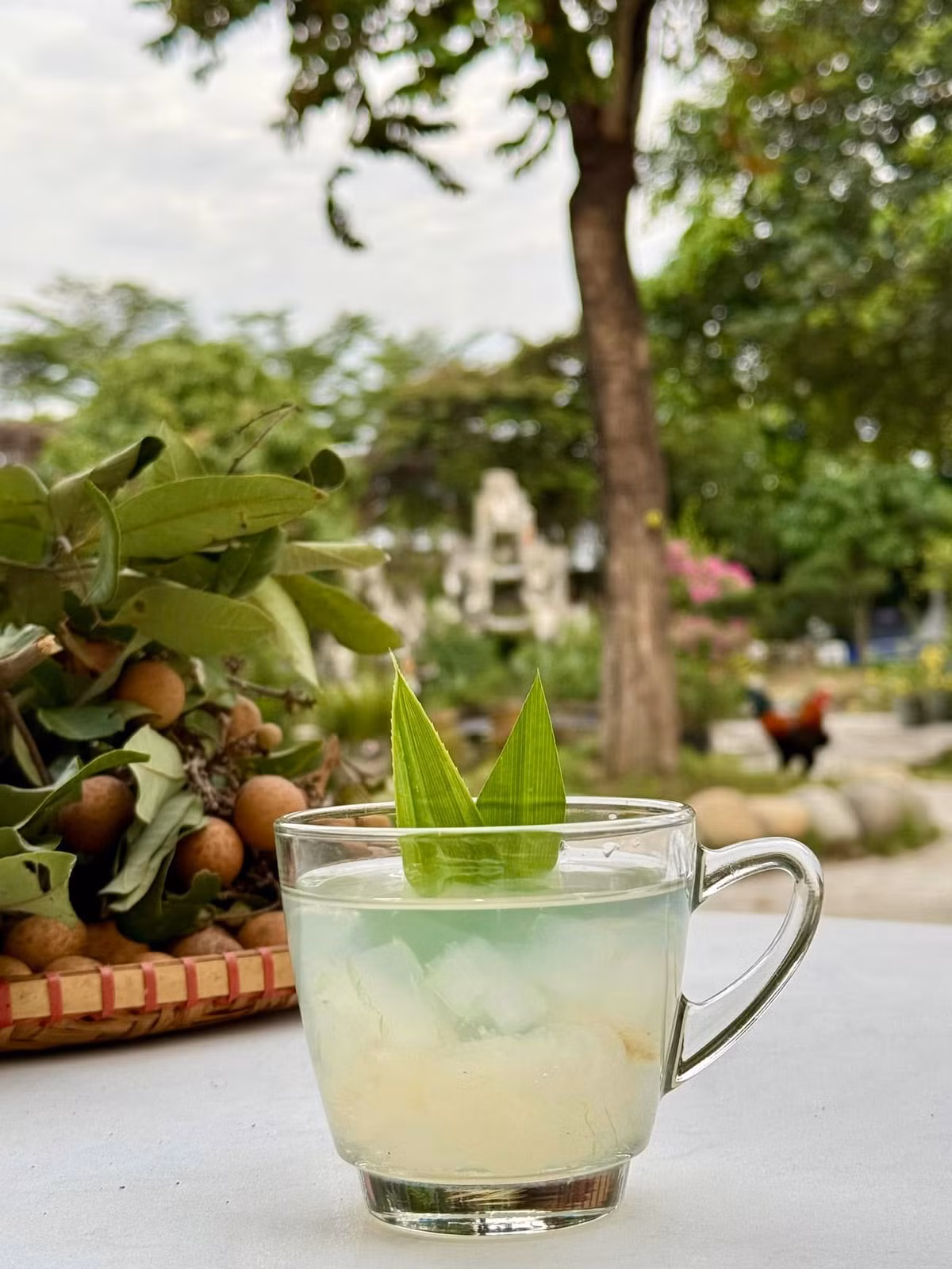 Có thể thấy, nhà vườn của Mỹ Tâm gây ấn tượng bởi sự gần gũi, bình yên cùng cây trái trĩu quả. Ảnh: FB My Tam