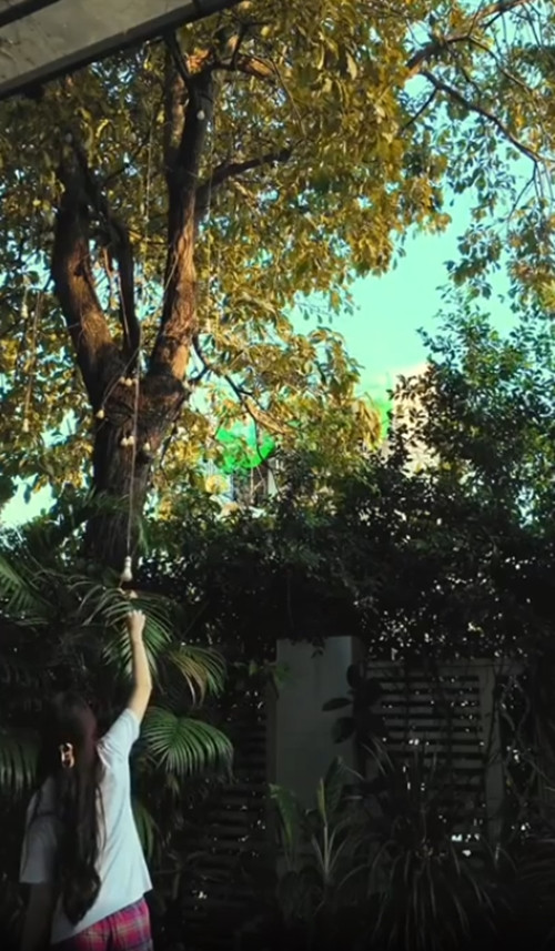 Khoảng sân trước nhà ngập tràn cây xanh. Ảnh chụp màn hình