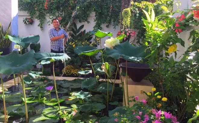 Xuất thân từ đồng lúa, ruộng vườn nên khi xây nhà, MC Quyền Linh vẫn mong muốn làm đẹp không gian theo cách dân dã, ngập tràn cây xanh. Ảnh: FBNV