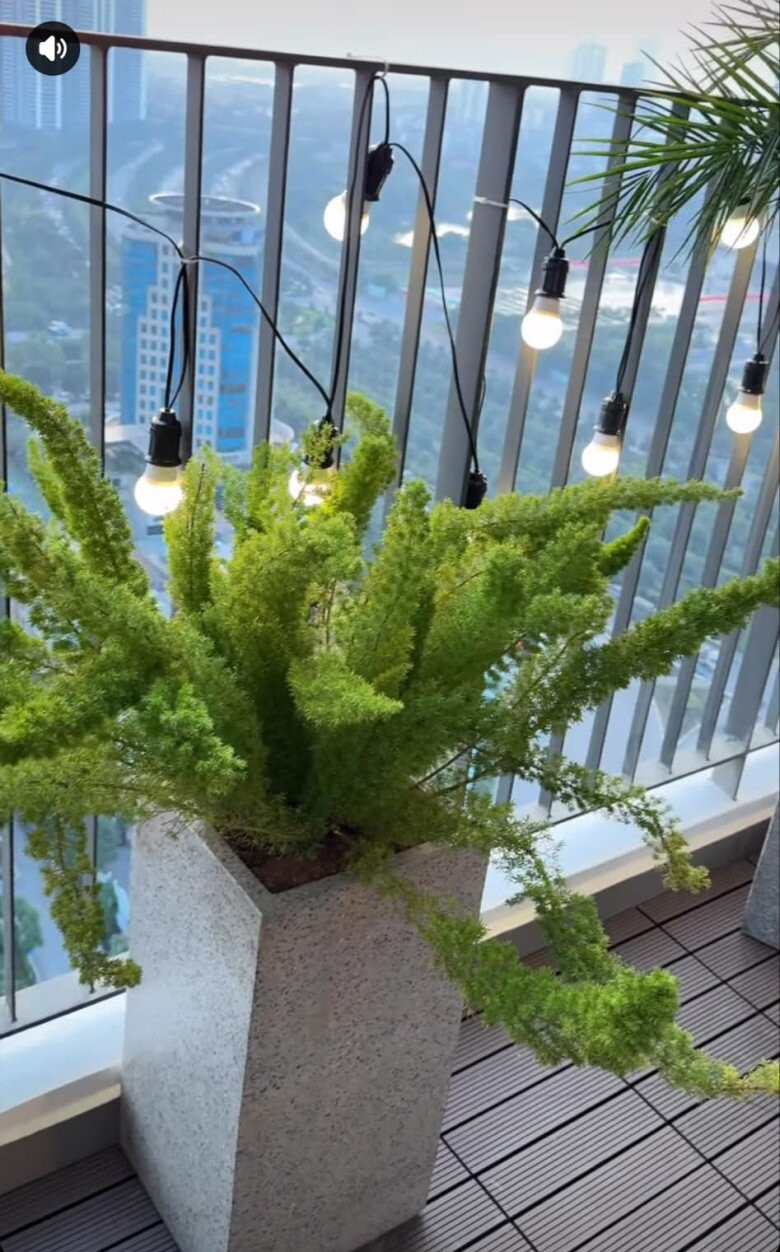 Tùng đuôi chồn xanh mướt ngoài ban công. Nữ diễn viên cũng trang trí ban công bằng dây đèn xinh xắn. Ảnh: chụp màn hình