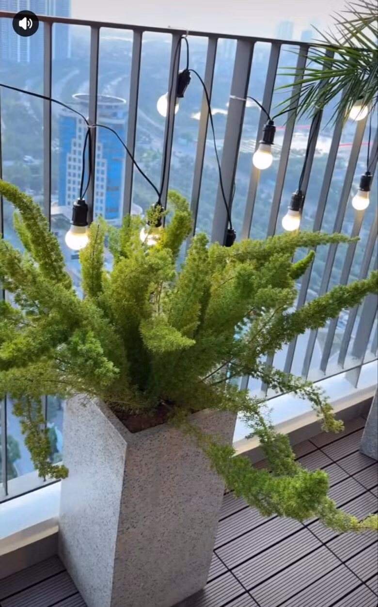 Tùng đuôi chồn xanh mướt ngoài ban công. Nữ diễn viên cũng trang trí ban công bằng dây đèn xinh xắn. Ảnh: chụp màn hình