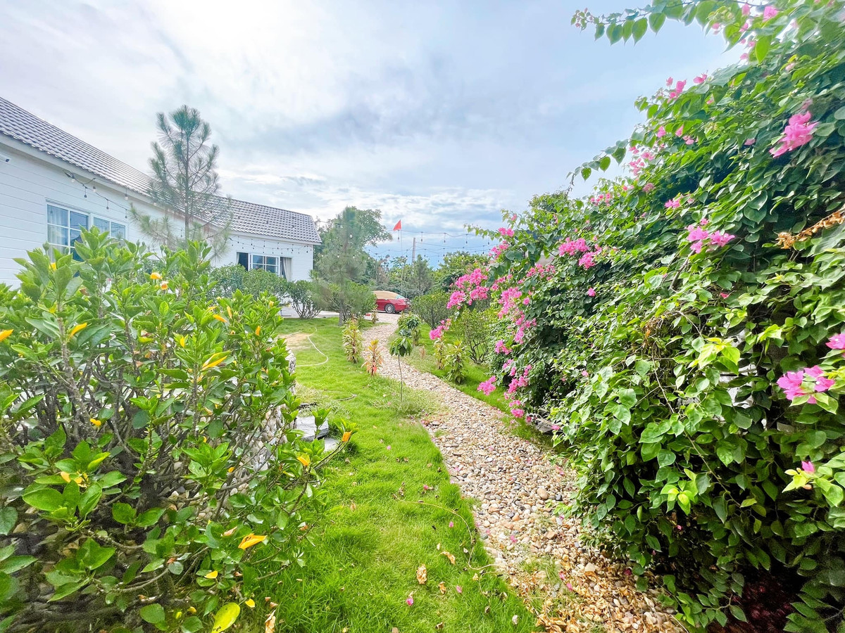 Trong vườn trồng nhiều loại hoa khác như hoa hồng, tường vi, dâm bụt, mẫu đơn... Ảnh: FB Đỗ Duy Nam