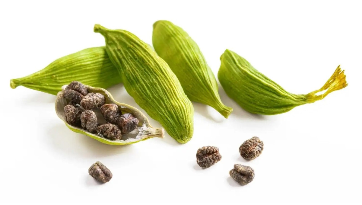 Quả bạch đậu khấu được hái lúc còn ở giai đoạn chuyển sang vàng xanh (gần chín). Thời điểm thu hái lý tưởng là vào mùa thu. Ảnh: Internet