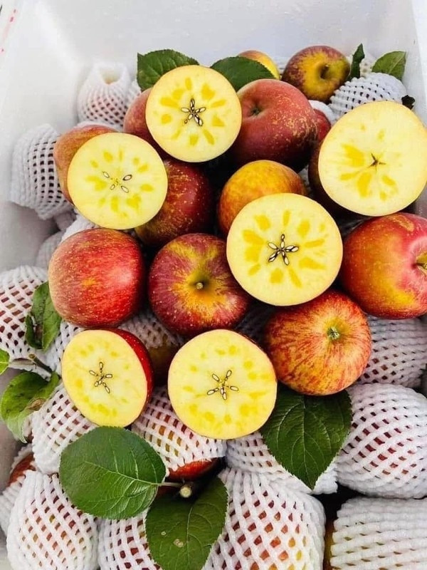 Táo mật Trung Quốc giá chỉ 10.000 đồng/kg Tao mat Trung Quoc gia chi 10.000 dong/kg