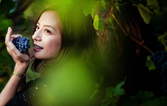 Đây là vườn nho đắt đỏ, từng là một trong những tài sản của vua Louis XIV, Pháp. Ảnh: Weibo