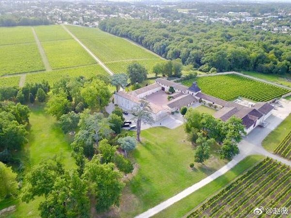 Theo HK01, kể từ khi kết hôn với Huỳnh Hữu Long, giá trị tài sản ròng của Triệu Vy tăng vọt. Năm 2011, Huỳnh Hữu Long chi 37 triệu HKD để Triệu Vy mua Chateau Monlot ở Bordeaux, Pháp. Ảnh: Sina