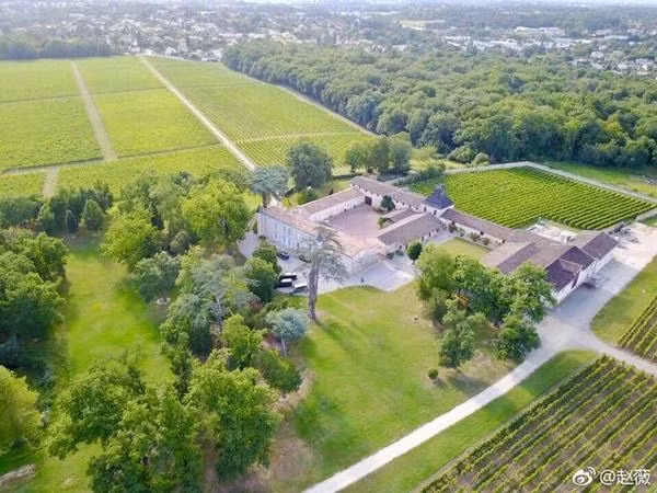 Theo HK01, kể từ khi kết hôn với Huỳnh Hữu Long, giá trị tài sản ròng của Triệu Vy tăng vọt. Năm 2011, Huỳnh Hữu Long chi 37 triệu HKD để Triệu Vy mua Chateau Monlot ở Bordeaux, Pháp. Ảnh: Sina