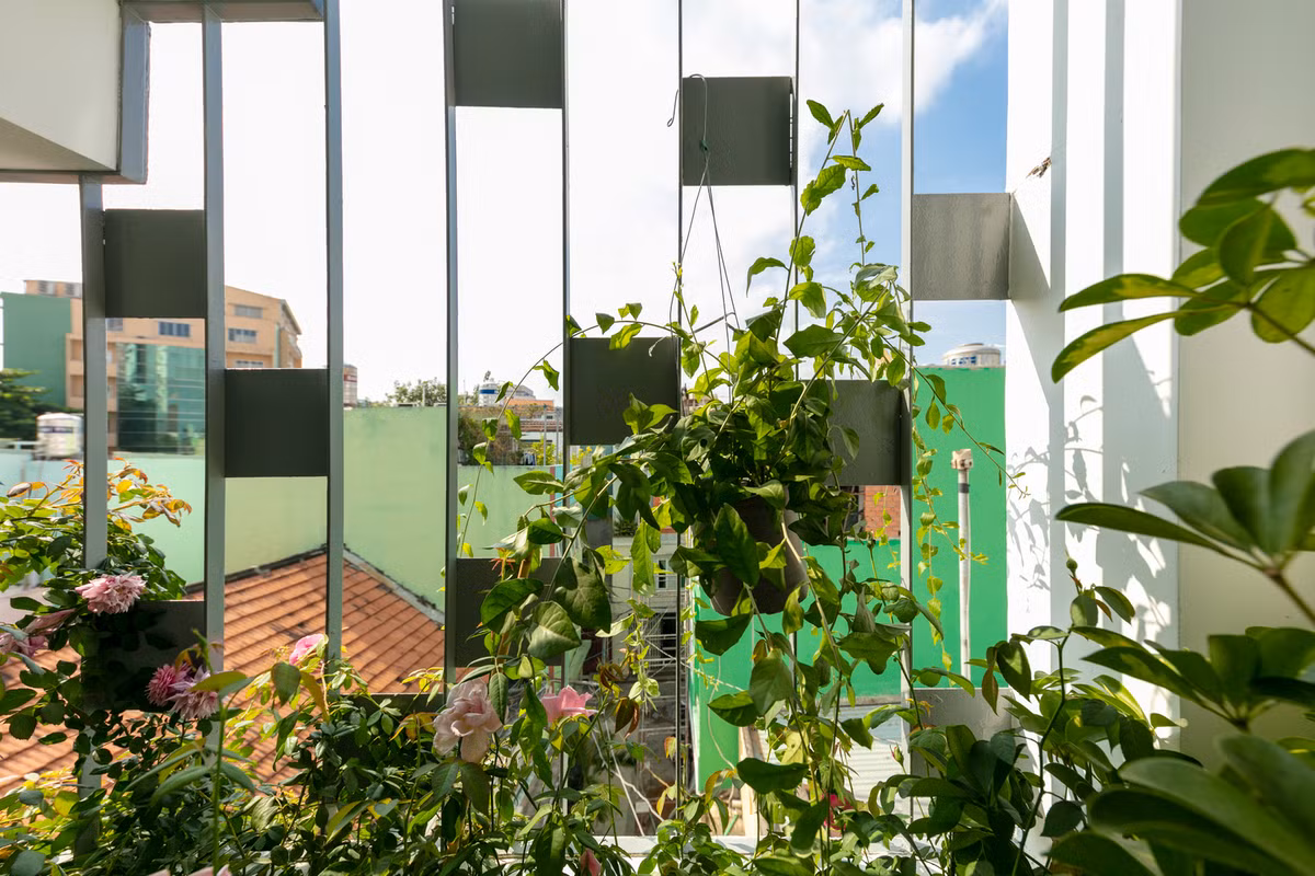 Giàn cây dây leo ngoài mặt tiền giúp căn nhà thêm sức sống. Ảnh: Thiết Vũ