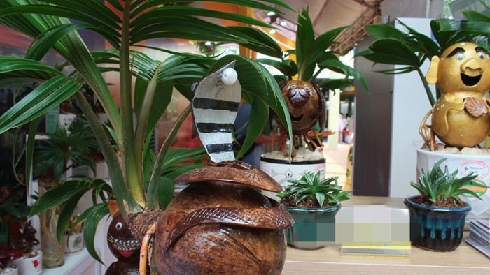 Điểm độc đáo của tác phẩm bonsai dừa là có thêm linh vật rắn của năm Tỵ. Ảnh: Dân Việt