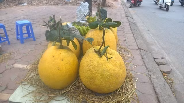 Bưởi Kỳ Đà kích thước lớn và mùi thơm mát nên được nhiều người lựa chọn làm thứ quả trưng bày ngày Tết. Ảnh: Facebook