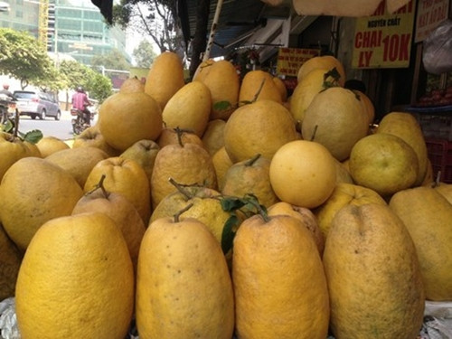 Hàng năm, cứ vào dịp Tết Nguyên đán, thị trường Hà Nội, TP HCM lại xuất hiện những trái bưởi Kỳ Đà khổng lồ phục vụ người dân chơi Tết. Ảnh: Tiền phong