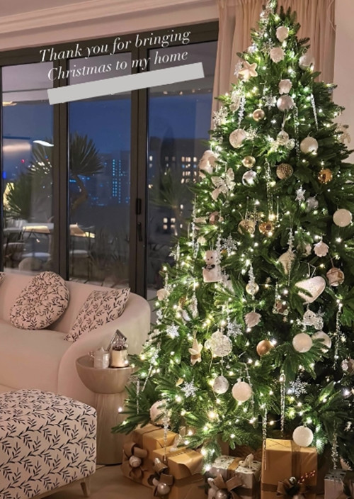 Mới đây, Hoa hậu Đặng Thu Thảo chia sẻ hình ảnh không gian sống trên story. Qua đó, có thể thấy từng góc nhỏ trong nhà đều được người đẹp chăm chút, mang đậm không khí Giáng sinh. Ảnh chụp màn hình