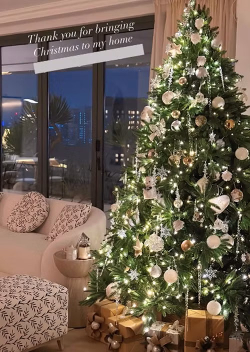 Mới đây, Hoa hậu Đặng Thu Thảo chia sẻ hình ảnh không gian sống trên story. Qua đó, có thể thấy từng góc nhỏ trong nhà đều được người đẹp chăm chút, mang đậm không khí Giáng sinh. Ảnh chụp màn hình