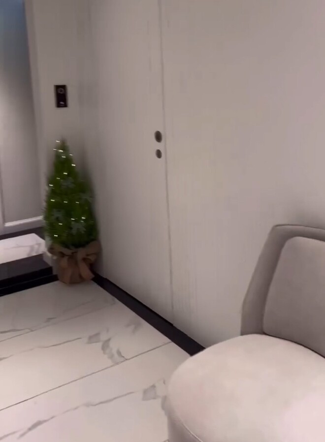 Lối vào được bài tri ghế bành màu xám, tủ trang trí nhỏ và cây thông mini xinh xắn. Ảnh chụp màn hình