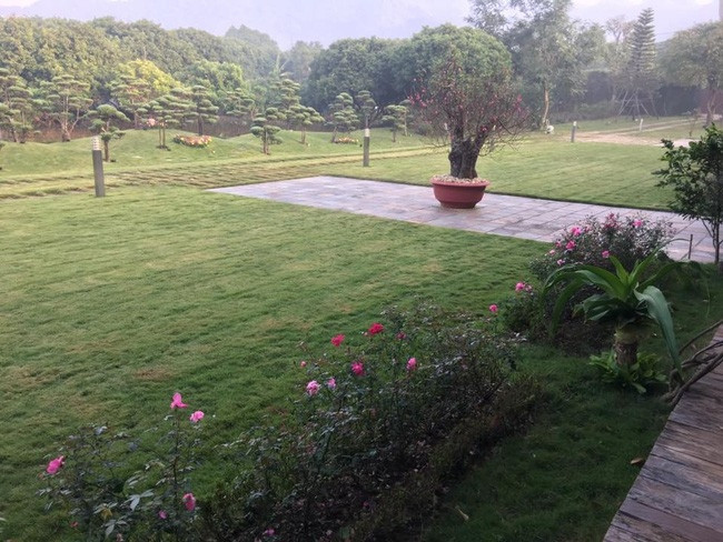 Căn biệt phủ được thiết kế như một quẩn thể kiến trúc theo xu hướng hiện đại, gần gũi với thiên nhiên. Ảnh: Doanh nghiệp &amp; tiếp thị