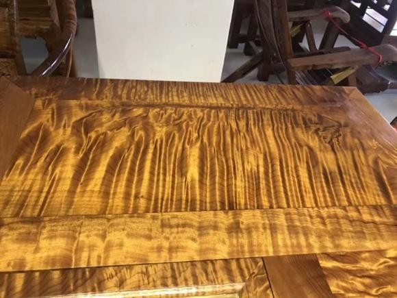 Gỗ nanmu vàng được mệnh danh là "báu vật trong rừng" bởi sự bí ẩn độc đáo trong kết cấu bên trong thân. Mỗi cây nanmu vàng giống như một bức tranh cuộn tinh xảo của thời gian. Ảnh: Chinanews