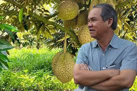 Ngoài ra, Hoàng Anh Gia Lai còn trồng sầu riêng. Ông Đoàn Nguyên Đức tiết lộ đã tăng gấp đôi diện tích trồng sầu riêng sau 2 năm từ 1.000 ha năm 2022 lên 2.000 ha, trải dài từ Việt Nam sang Lào. Ảnh: Vietnamnet