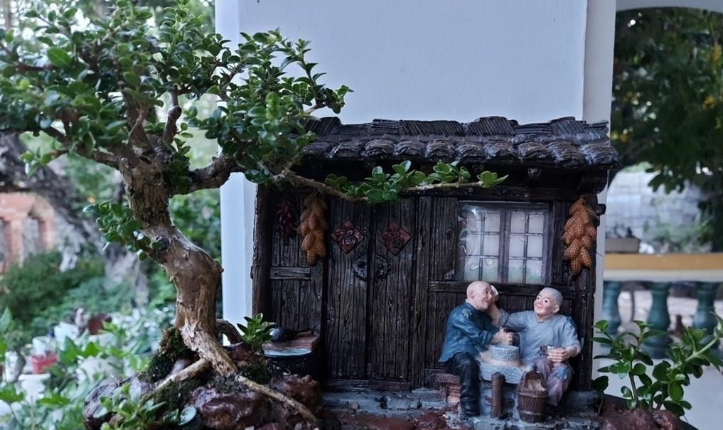 Tác phẩm bonsai mini với chủ đề "tình già". Ảnh: TTXVN