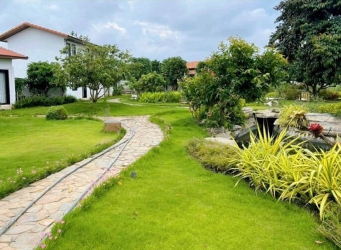 Mọi ngóc ngách trong khu biệt thự đểu được bao phủ bởi cây xanh. Ảnh: Facebook