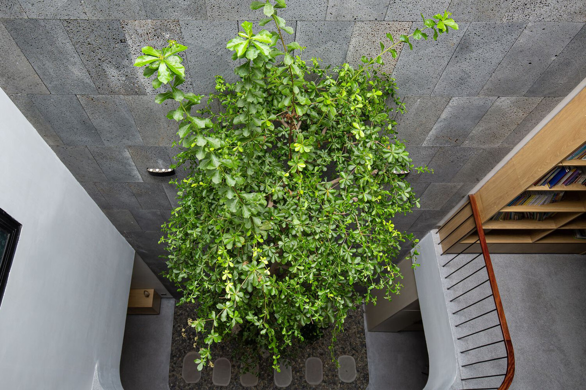 Ngoài ra, một giếng trời ở giữa kết nối các không gian chung với không gian sống ở phía trên. Ảnh: Hoang Le