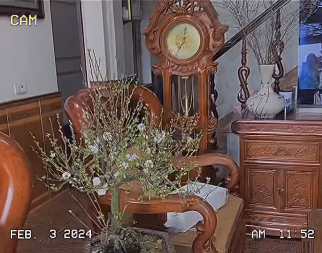 Phòng khách rộng rãi với bộ bàn ghế gỗ. Ảnh: FBNV