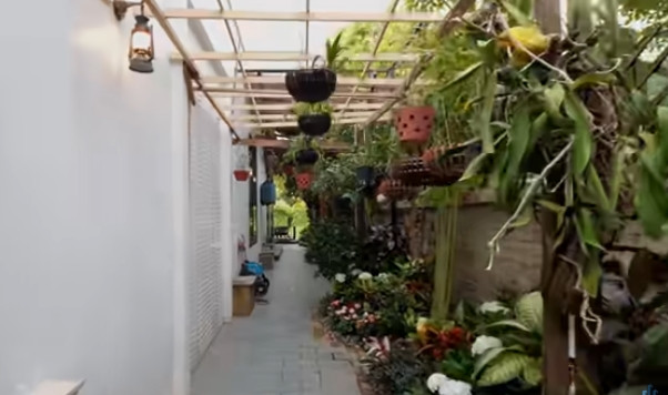 Bên hông nhà cũng được trồng nhiều loại cây và hoa. Ảnh chụp màn hình NhaF