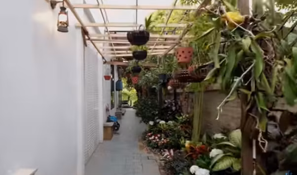 Bên hông nhà cũng được trồng nhiều loại cây và hoa. Ảnh chụp màn hình NhaF