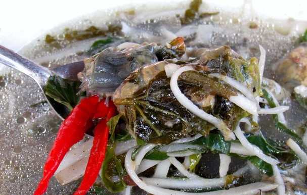 Rum biển có thể chế biến thành nhiều món ngon như om chuối đậu, xào thập cẩm... Ảnh: Báo Nghệ An