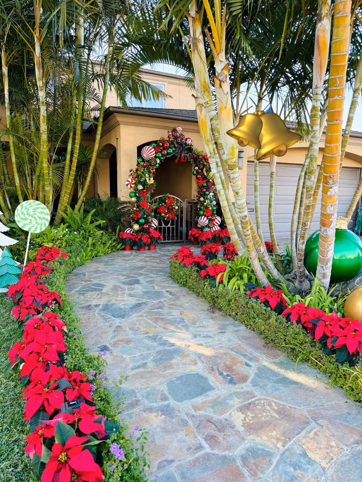 Lối vào nhà rực sắc đỏ của hoa. Ảnh: FB Dam Vinh Hung